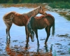 Ripples 
                           by Diane M Anderson